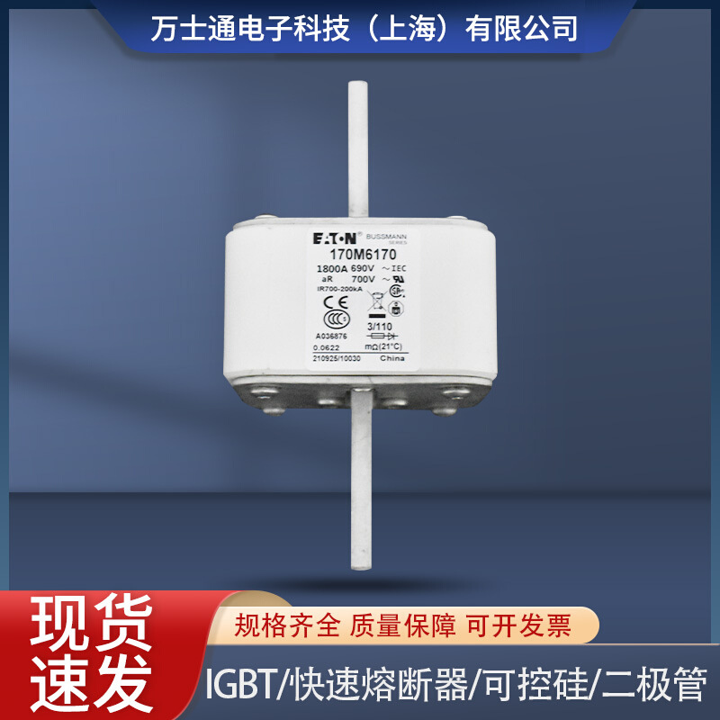 170M6188/6189/6190/6191/6192/6193/6194/6195全新熔断器现货