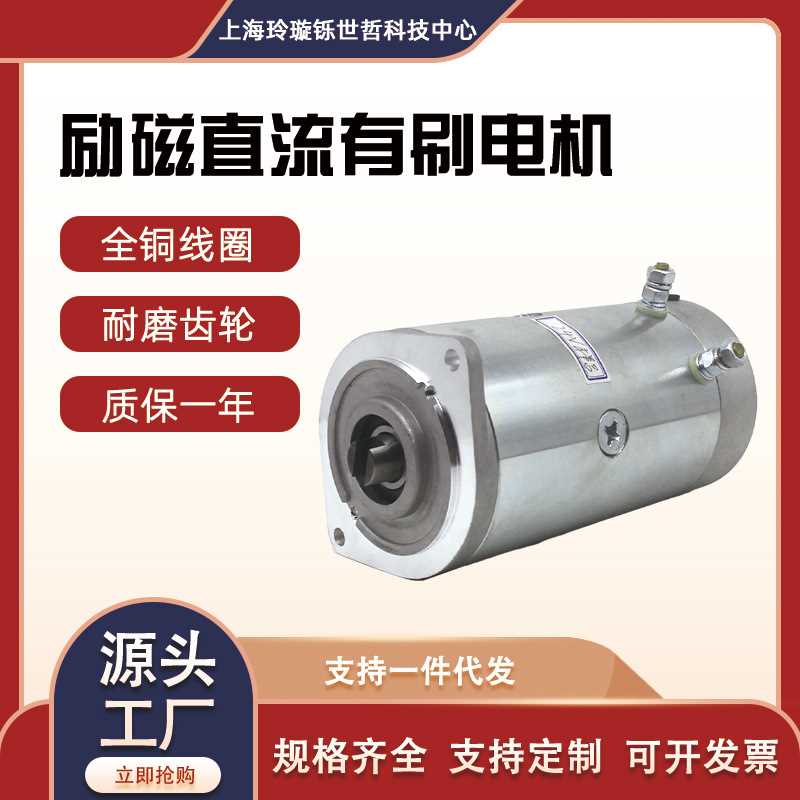 电机800W铜机芯叉车动力单元液压油泵环卫车三轮车用马达大功率