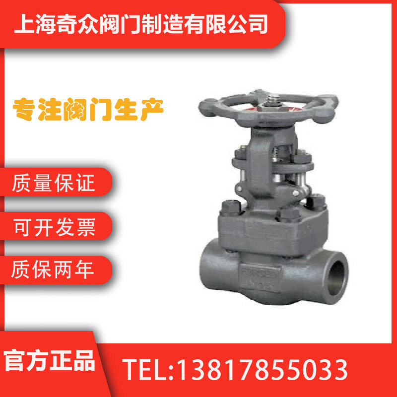 Z61Y锻钢闸阀 法兰闸阀排污铜芯防护DN100 125 150