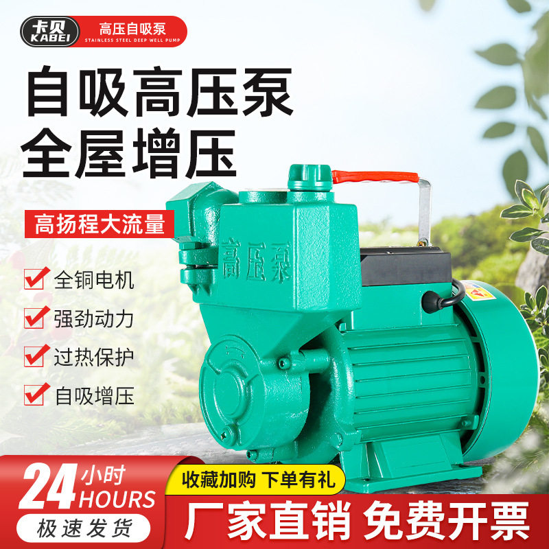 家用220V 高压泵井水抽水机自来水增压泵高扬程大流量农田灌溉泵