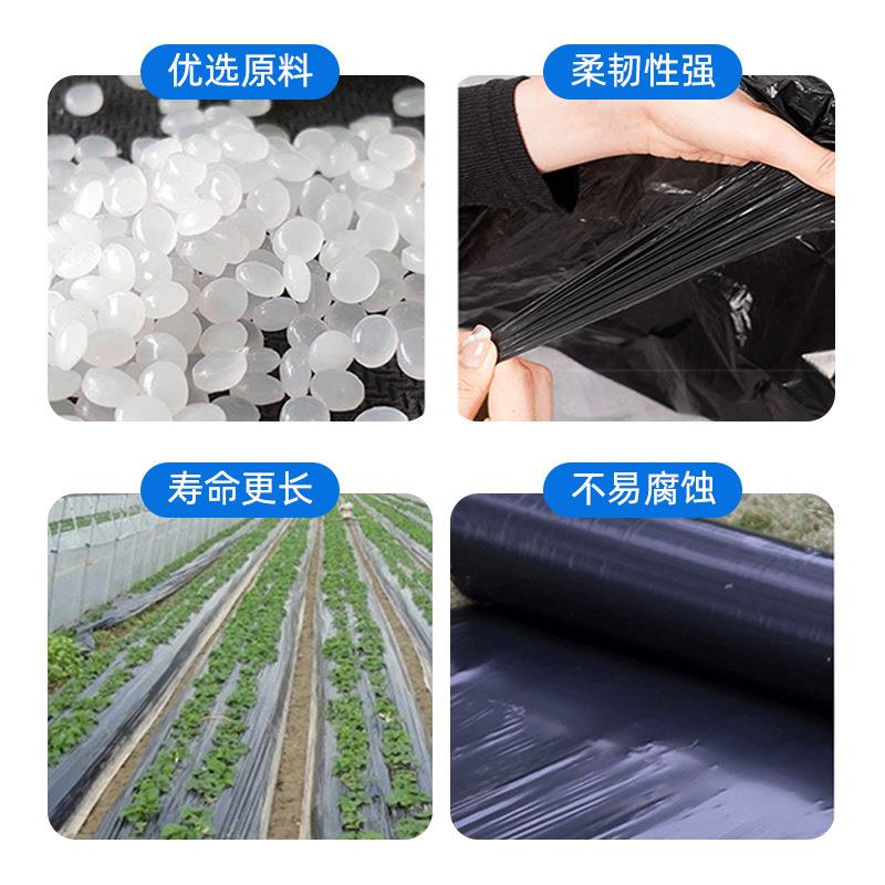 农用黑色地膜加厚大棚种植除草保温保湿防虫膜新料草莓专用膜防冻