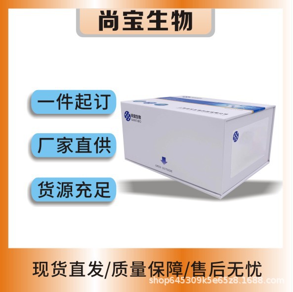 1×PBS缓冲液;1×TM缓冲液;1/2 MS培养基母液;2,4-D母液