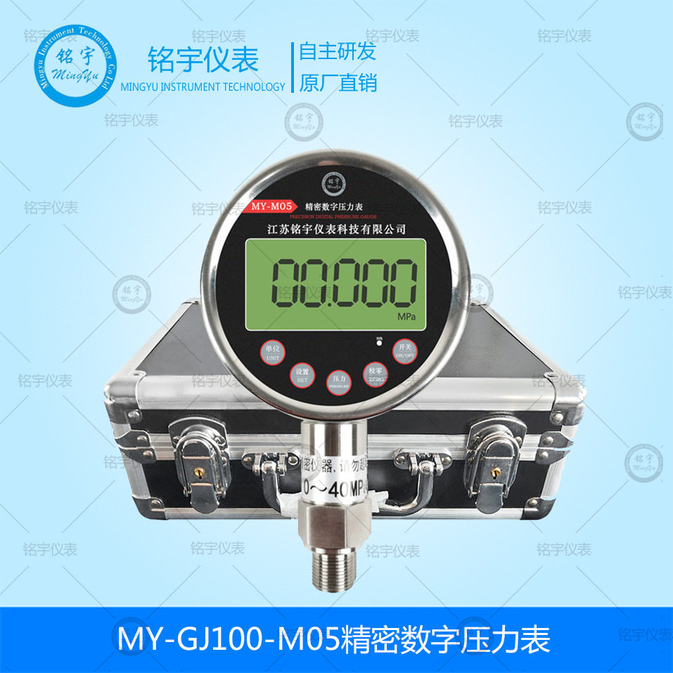 MY-GJ100-M05精密数字压力表