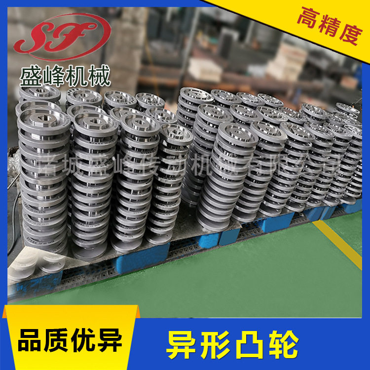 盛峰DS凸轮分割器自动化设备专用异形凸轮支持来图订做