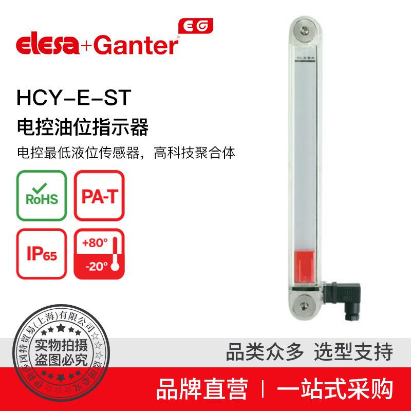 ElesaGanter伊莉莎冈特HCY-E-ST电控油位指示器