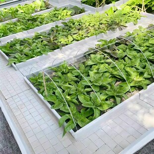 菜地沟板成品水泥户外美丽菜园地沟农村铺路田园地砖花园乡村庭院