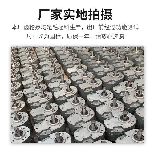 CB-B6/B10/B4/B16/B20/B25/B32/B40/B50/B63/B80/B100/B125齿轮泵