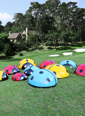 户外游乐场仿真七星瓢虫雕塑卡通彩绘甲壳虫昆虫草坪装饰坐人摆件