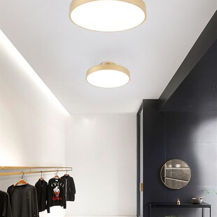 斯堪的纳维亚通道灯简单现代创意时尚圆形大气衣帽间阳台走廊Led