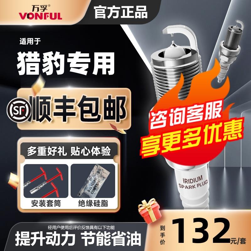 适配猎豹cs10飞腾cs6专用cs7黑金刚cs9原厂原装升级双铱金火花塞