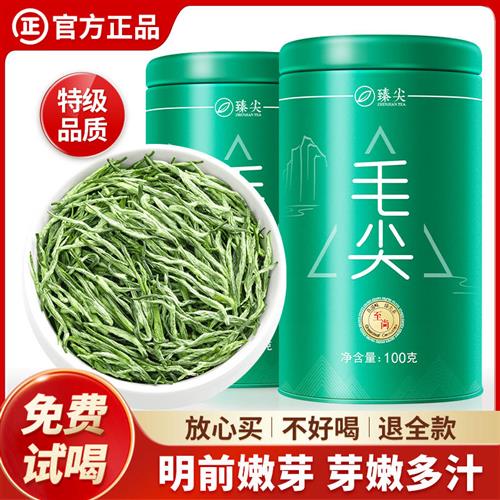 毛尖2024年新茶浓香型茶叶自己喝特级春茶明前嫩芽绿茶官方正品茶