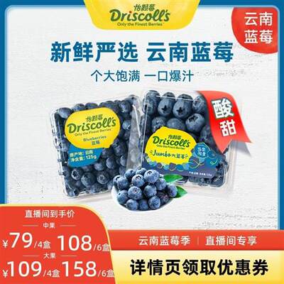 【云南季】Driscolls怡颗莓云南蓝莓中大果 125g新鲜当季水果