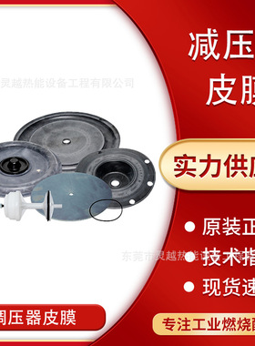 giuliani朱利安尼减压调压阀膜片补偿膜FG1B40 FG1B50 ST1B65