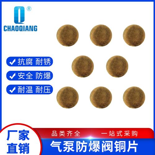 适配防爆阀铜片  30mpa高压打气机单缸双杠充气泵配件通用型铜片