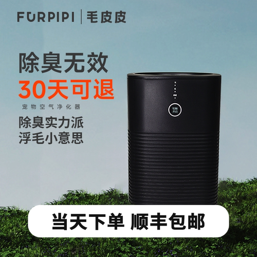 空气净化器异味处理除臭吸浮毛