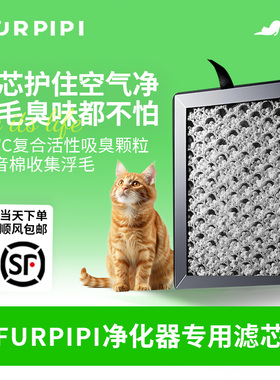 毛皮皮新款黑色空气净化器滤芯静电棉配件 吸猫浮毛除臭专用