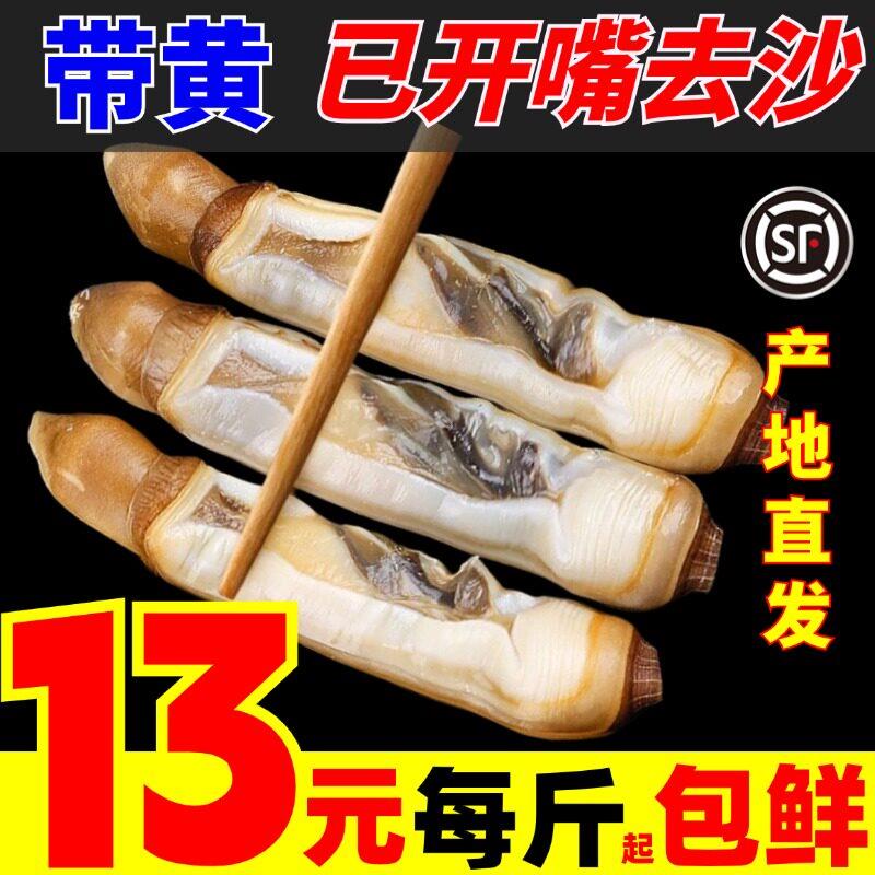 蛏王肉蛏子肉蛏子鲜活蛏子王肉竹节蛏海鲜水产圣子竹节蛏新鲜带黄