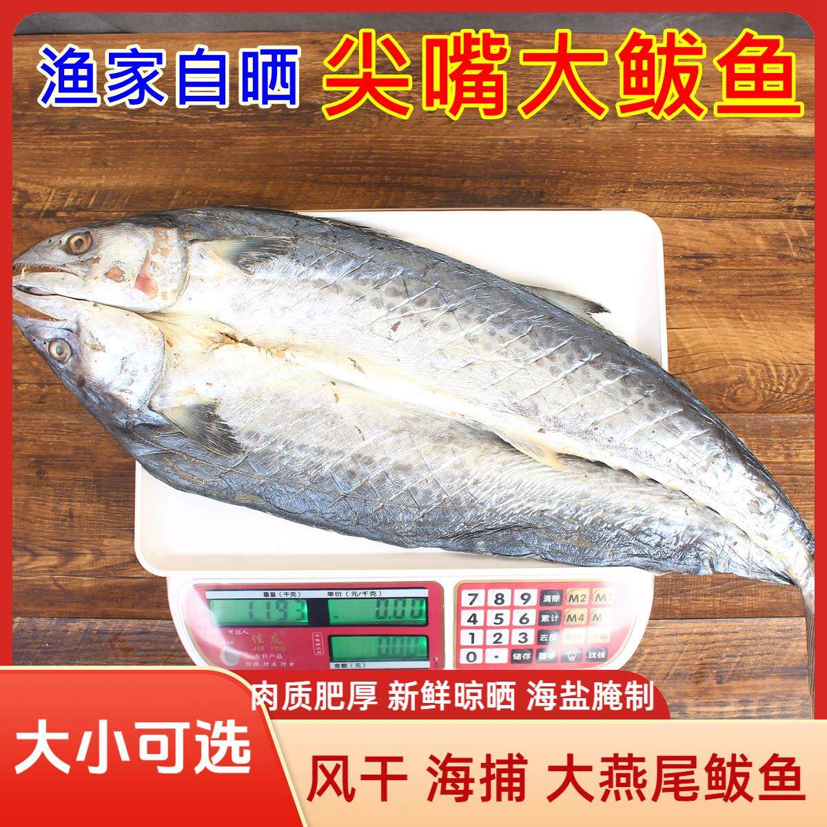日照【鲅鱼干5斤】新鲜野生燕尾马鲛鱼风干腌制半干新鲜马鲛鱼干