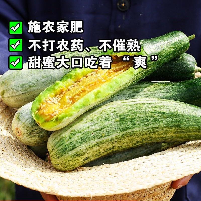 山东羊角蜜甜瓜新鲜水果应季脆甜蜜瓜香瓜时令羊角脆整箱5斤包邮