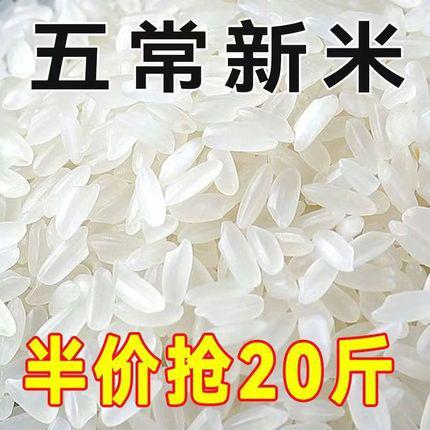2024新米5kg10斤宝宝珍珠米圆粒稻香米东北黑龙江五常大米长粒米
