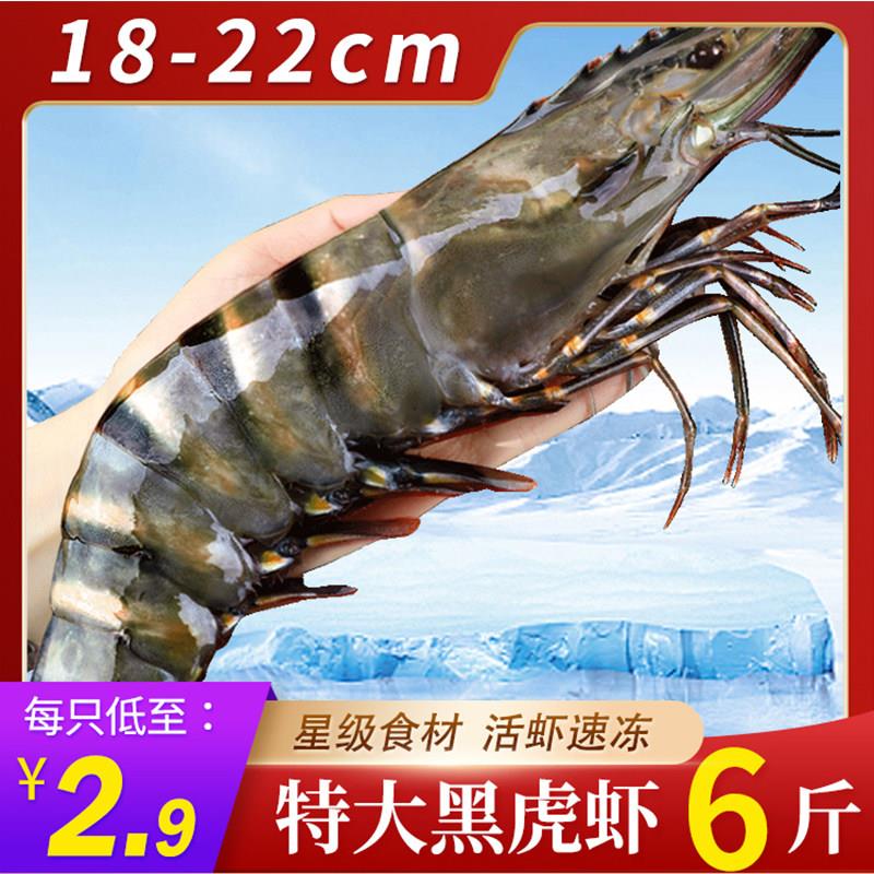 黑虎虾鲜活超大老虎虾冷冻特大对虾基围虾鲜虾海虾无冰竹斑九节虾