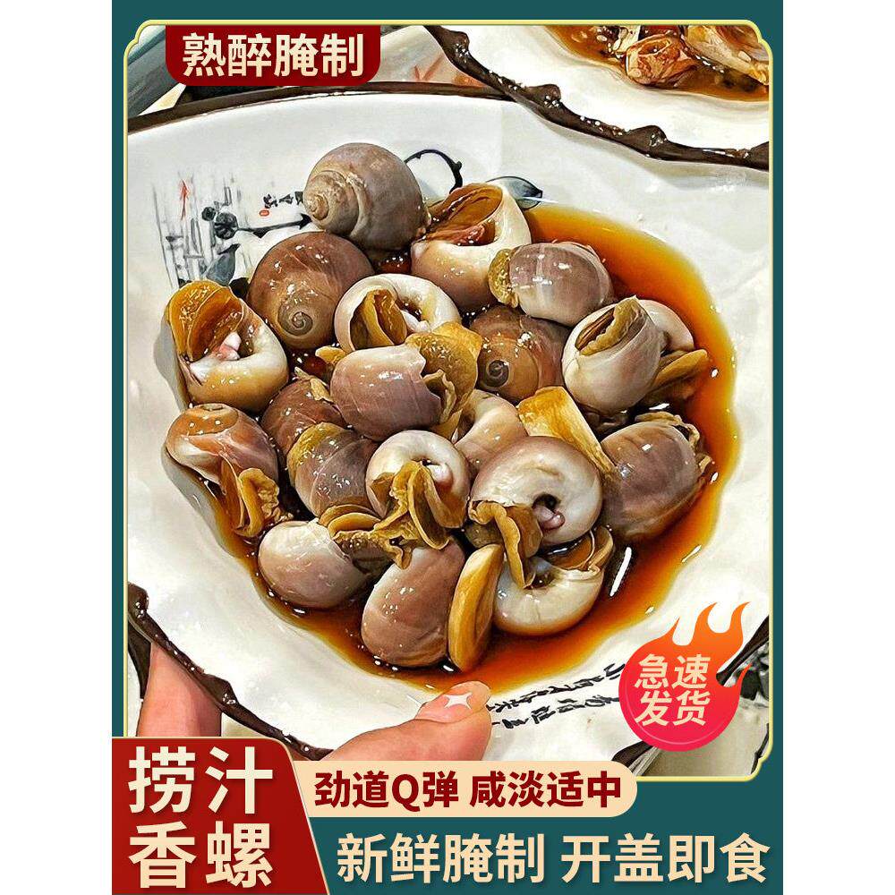 胖子醉香螺即食捞汁小海鲜熟食罐装腌制海螺肉玉螺猫眼螺宁波特产