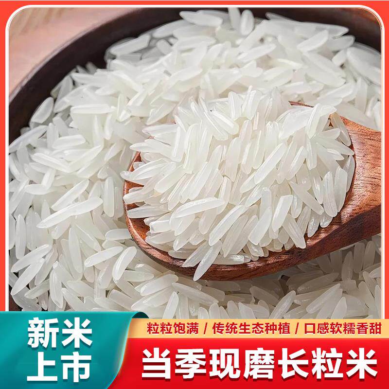 当季长粒丝苗米优质大米猫牙米长粒香米农家自产新米宿舍蒸米饭