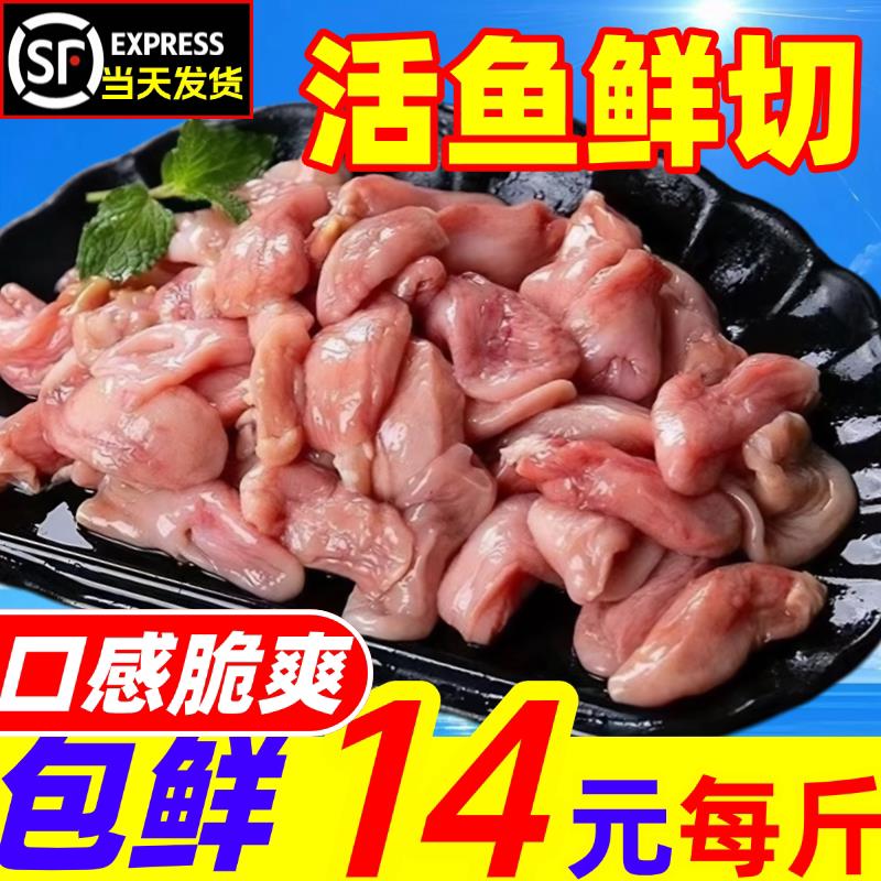 新鲜鱼肚花胶鱼胶鱼杂鲜活冷冻巴沙鱼肚石斑鱼籽鱼鳔鱼泡海鲜水产