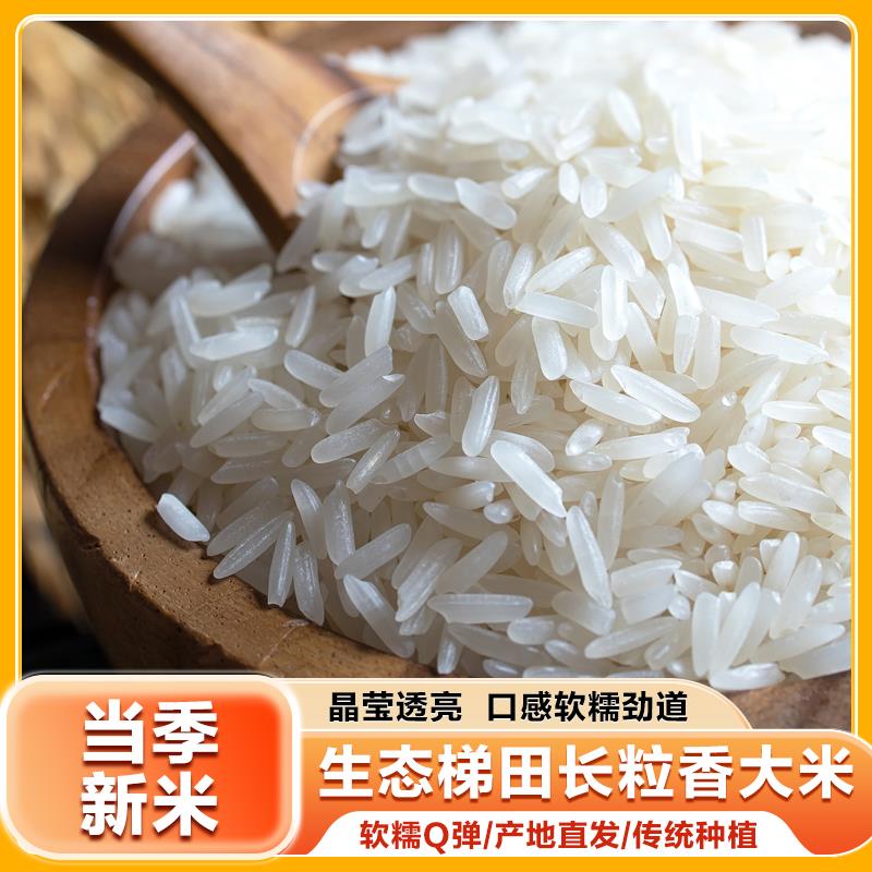 正宗猫牙米新大米超长粒米1斤包装米优选象牙米农家鲜大米丝苗米