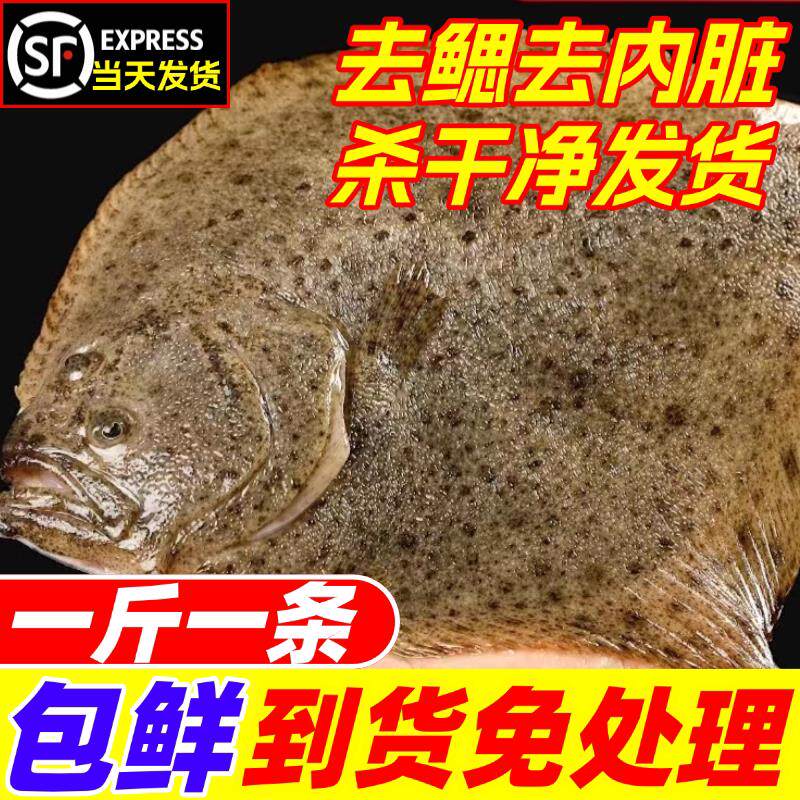 新鲜多宝鱼比目鱼超大鸦片鱼鲜活冷冻去鳃去内脏偏口鱼八宝鱼海鱼
