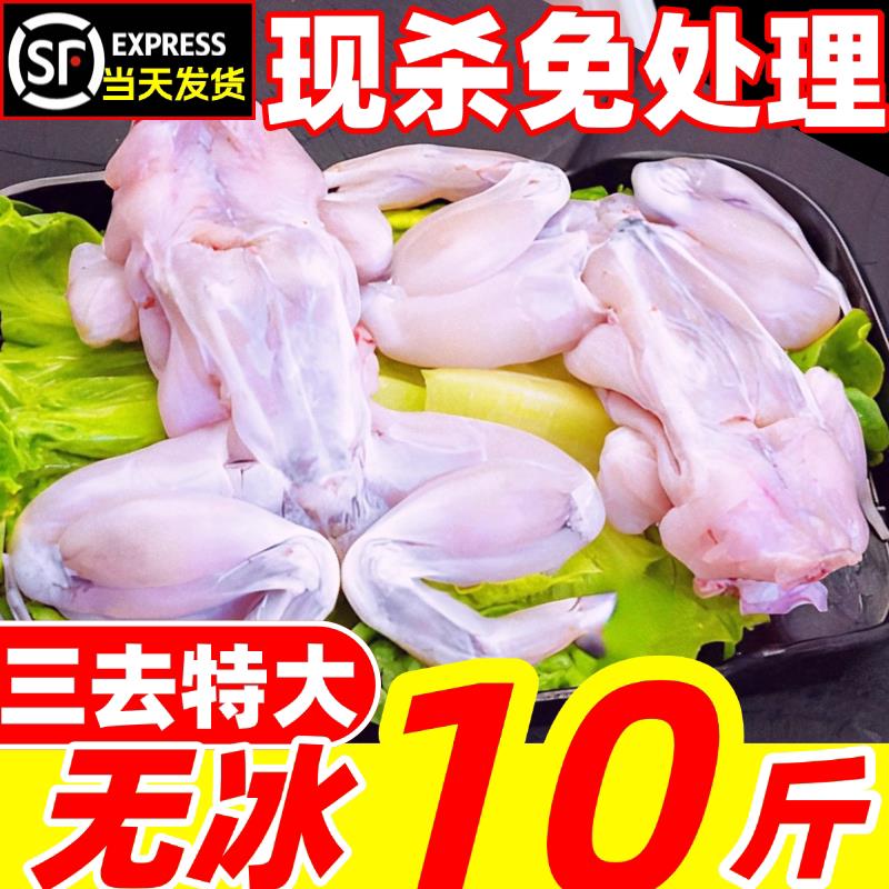 牛蛙超大特大田鸡新鲜鲜活冷冻蛙肉青蛙杀好蛤蟆蛙块商用火锅食材