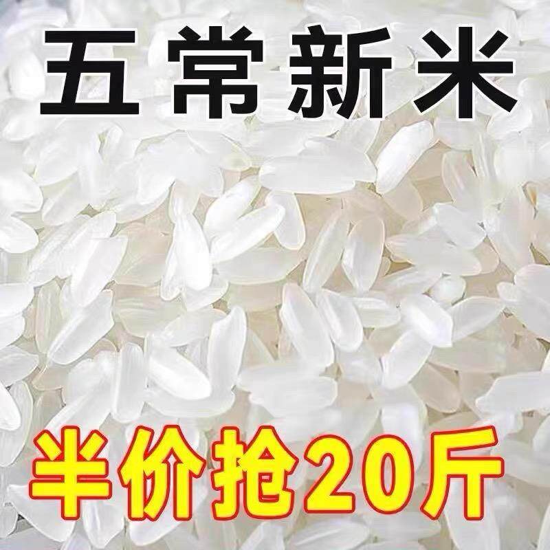 2024年东北黑龙江五常稻花香2号大米长粒10斤特级香米农家米