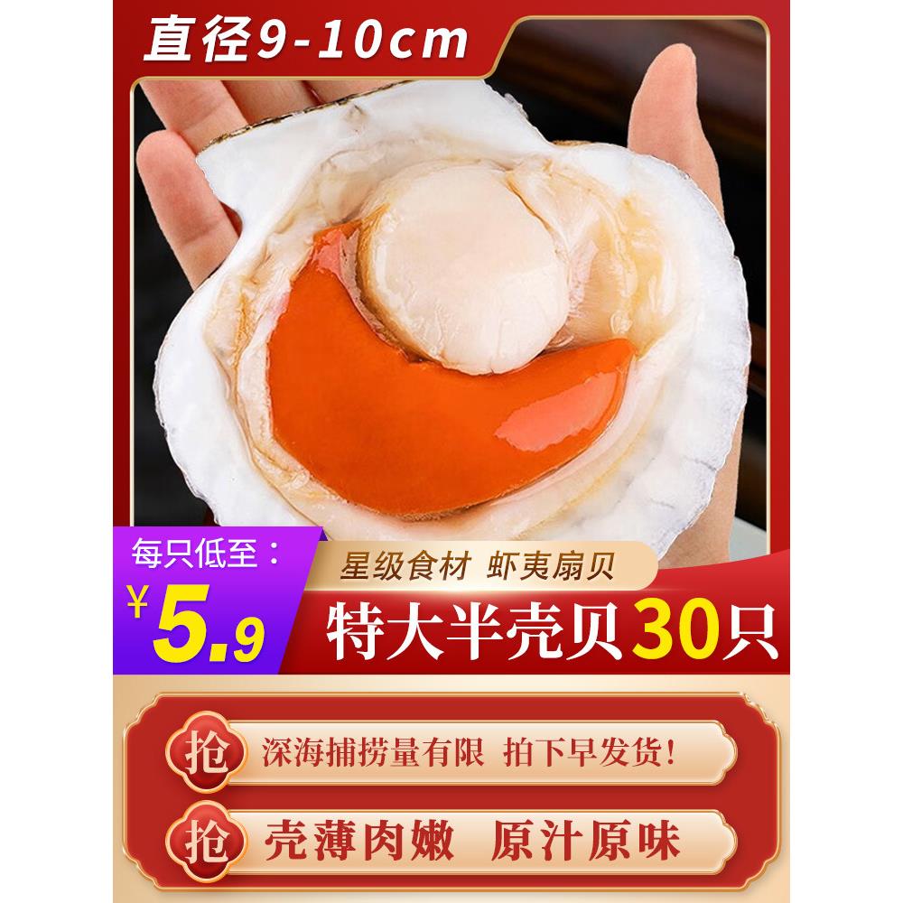半壳贝超大夏夷贝虾夷元贝鲜活冷冻海鲜带壳粉丝蒜蓉烧烤商用扇贝