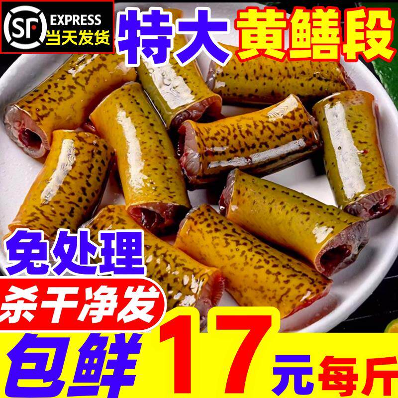 黄鳝鱼鲜活新鲜现杀特大土黄鳝去头去内脏野鳝鱼中段商用炖骨煲汤