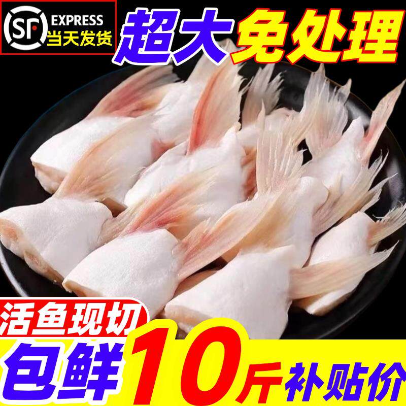 鲈鱼翅新鲜鱼腩肉现杀冷冻鱼腹鳍鱼翅海鲈鱼下巴商用海鲜水产