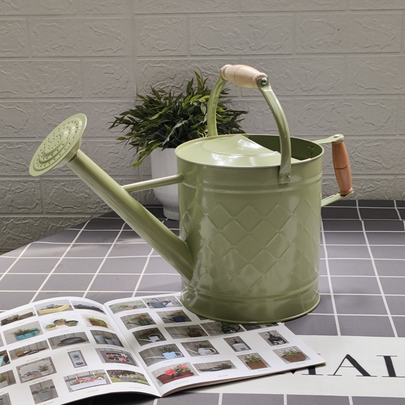 出口欧美两用铁洒水壶浇花家用种菜养花I大号浇花壶大容量园艺喷,鲜花速递/花卉仿真/绿植园艺,洒水/浇水壶,淘宝优惠券,粉丝福利购,淘宝优惠卷