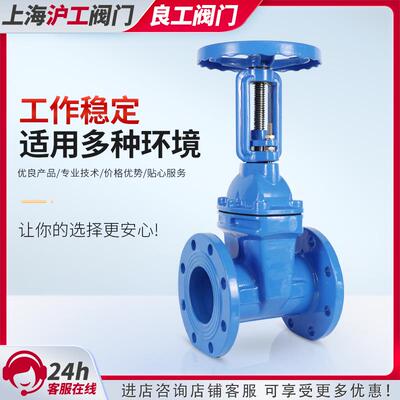 新款上海沪工阀门Z41X明杆16Q软密封法兰闸阀球墨铸铁弹性座包邮