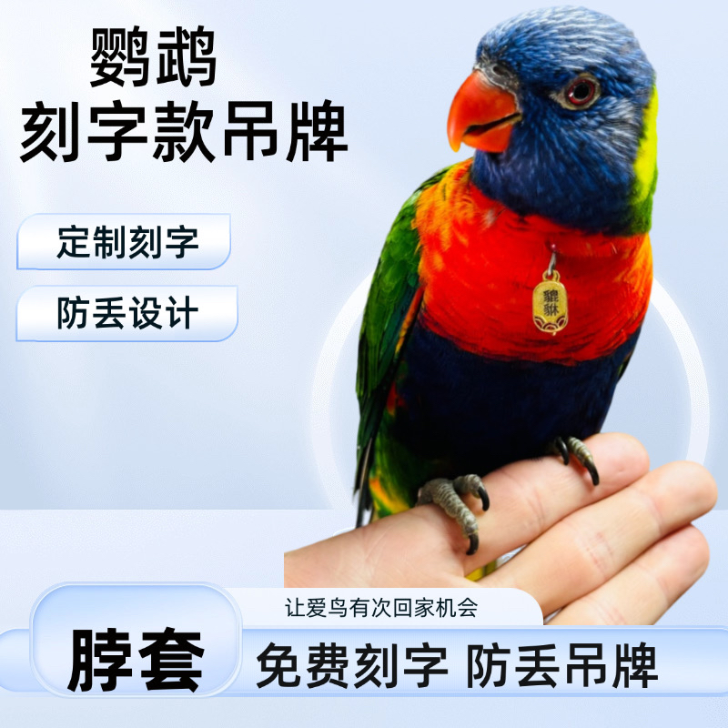 鹦鹉脖套玄风牡丹小太脖圈栓鸟链子户外遛鸟放飞绳链子专属刻字牌