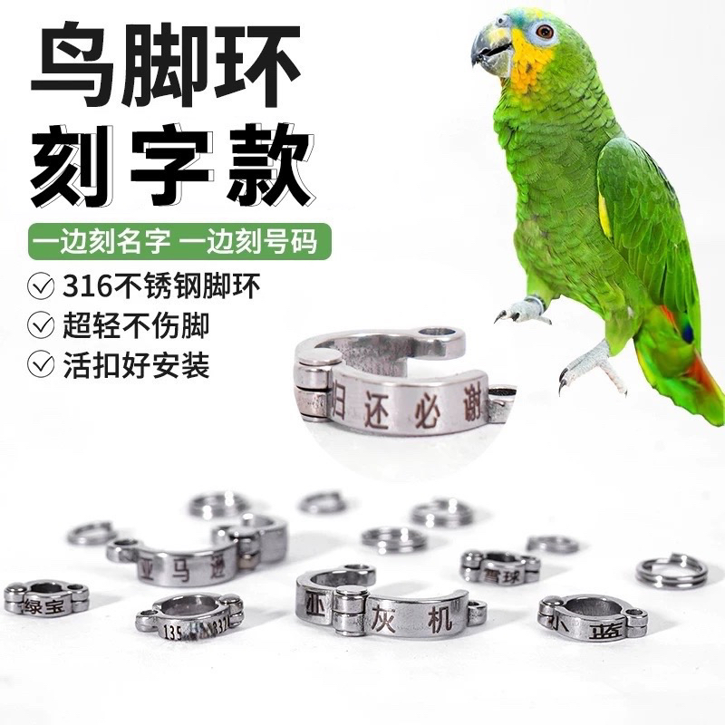鹦鹉不锈钢脚环脚链鸟用链子玄凤小太牡丹和尚金太刻字304脚环链