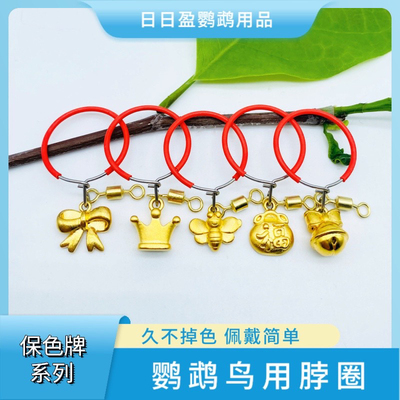 鹦鹉不锈钢脖套训练脖圈遛鸟放飞脚链小太阳玄凤牡丹栓鸟链子绳子