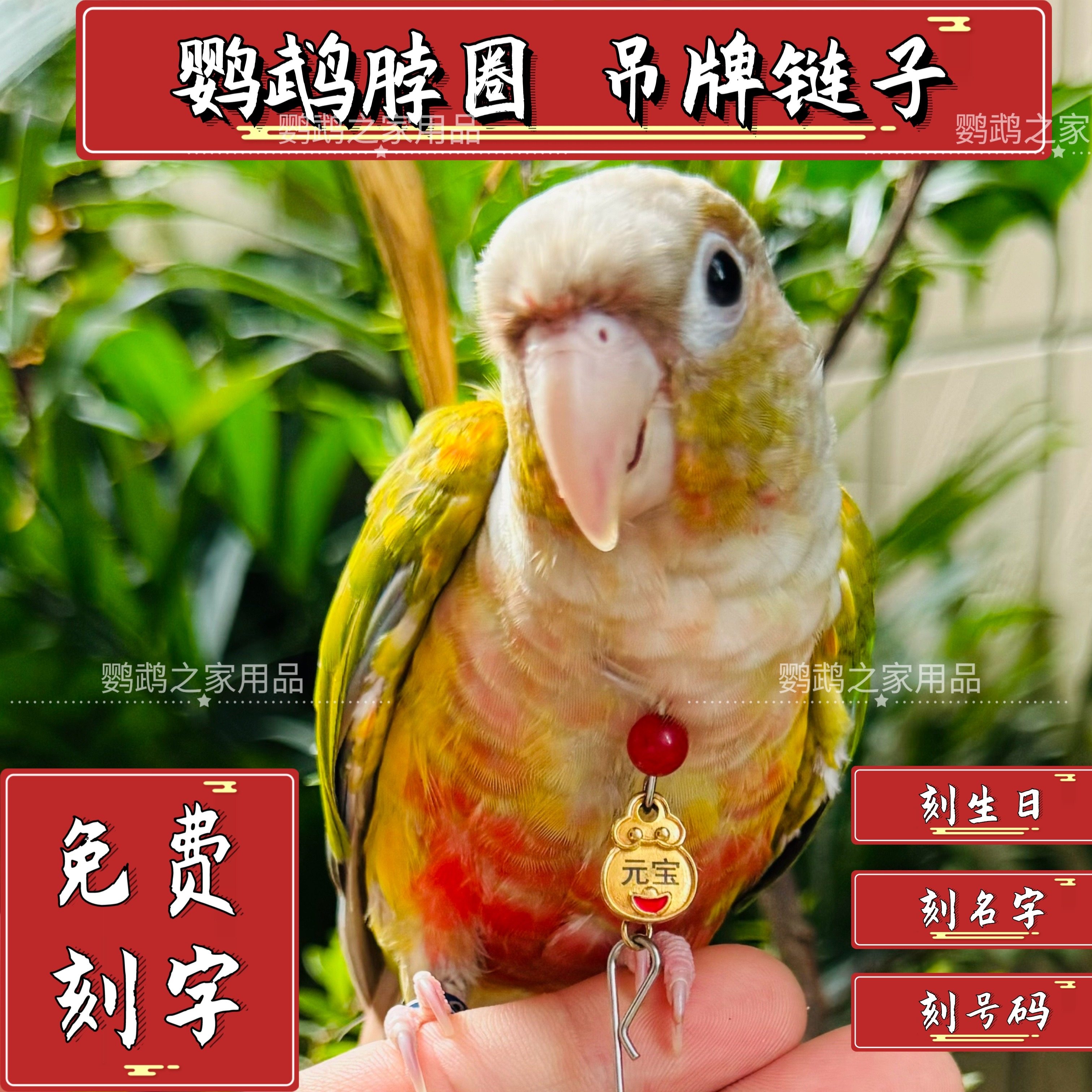 新款鹦鹉脖圈刻字定制金太阳项圈吸蜜和尚小太阳玄凤外出拴鸟链子,宠物/宠物食品及用品,宠物用品定制周边,淘宝优惠券,粉丝福利购,淘宝优惠卷