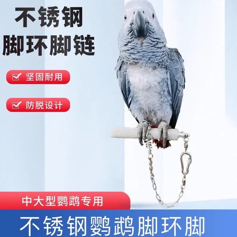 中大型鹦鹉不锈钢脚链脚环活扣不伤脚放飞链站架链子灰机折衷金刚