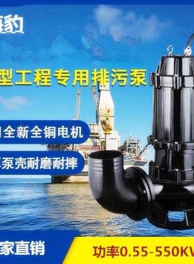 jywq自动搅匀排污泵设备间排污泵自动搅匀式排污泵型号参数