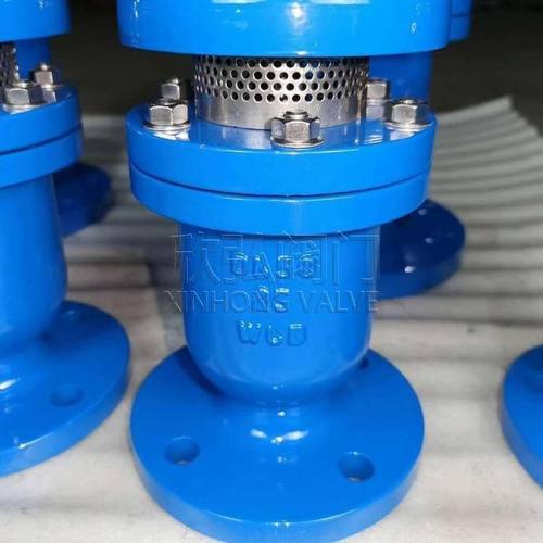 DYP4X卷帘式复合排气阀 不锈钢双口法兰式快速高温 欣弘阀门
