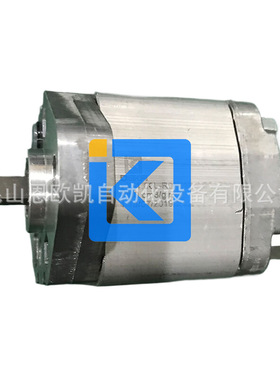 DEKA 齿轮泵X-1.00L-R01K02-AG01P01-N