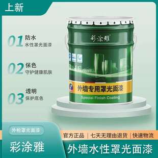 彩涂雅光油墙绘颜料外墙漆真石漆防水涂料罩光面油防水防尘艺术漆