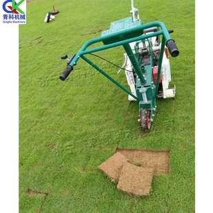 小型万向轮草原起草机 汽油手扶式铲草皮机 宽深可调节天然草地机