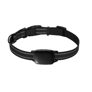 新款猎狗猎犬大山定位器4g防水GPS北斗卫星山区猎狗子追跟器项圈