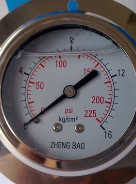 YN60ZT 10Kg/145Psi不锈钢轴向带边耐震充油压力表油压表面板式