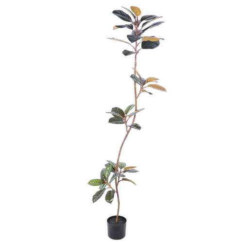 北欧场风仿橡皮树真绿植大型内落地假植物盆栽商居家室橡皮树造景